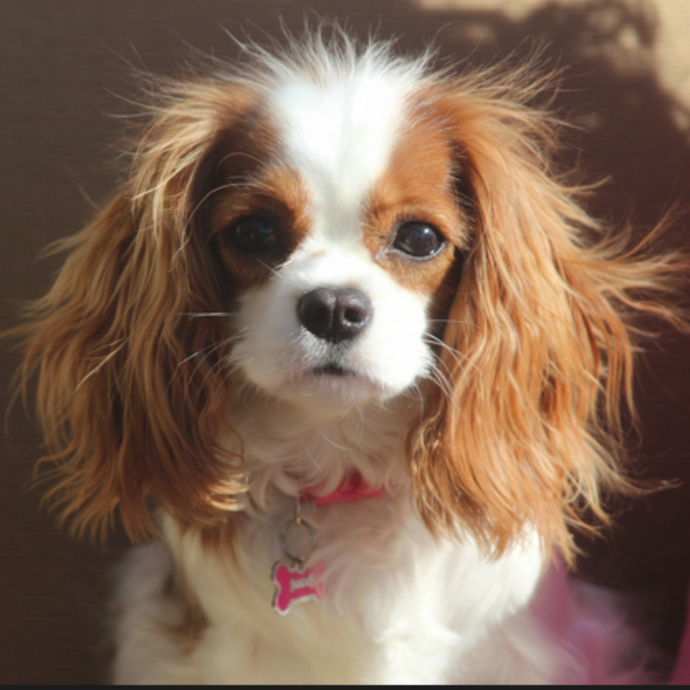 HELLO! LIKE to Bookmark my closet!